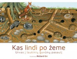 Kas lindi po žeme